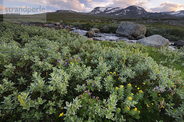 Leirungsdalen  Gebirgslandschaft im Jotunheimen Nationalpark  Norwegen