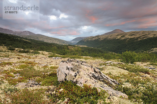 Morgenrot  Fjelllandschaft nahe Bjornhollia im Rondane Nationalpark  Norwegen  Skandinavien  Europa