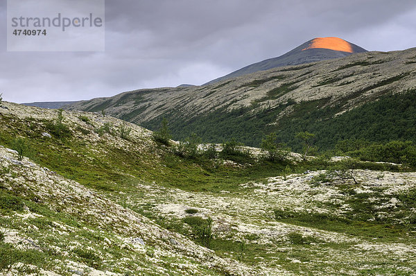 Fjelllandschaft nahe Bjornhollia im Rondane Nationalpark  Norwegen  Skandinavien  Europa