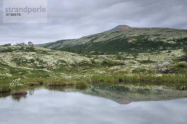 Bergsee  Fjelllandschaft nahe Bjornhollia im Rondane Nationalpark  Norwegen  Skandinavien  Europa