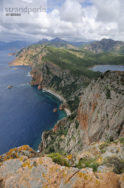Steilküste von Capu Rosso  Halbinsel an der Westküste von Korsika  Frankreich  Europa