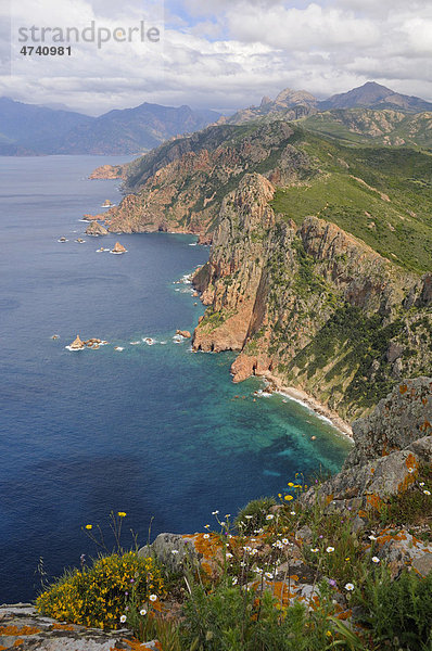 Steilküste von Capu Rosso  Halbinsel an der Westküste von Korsika  Frankreich  Europa