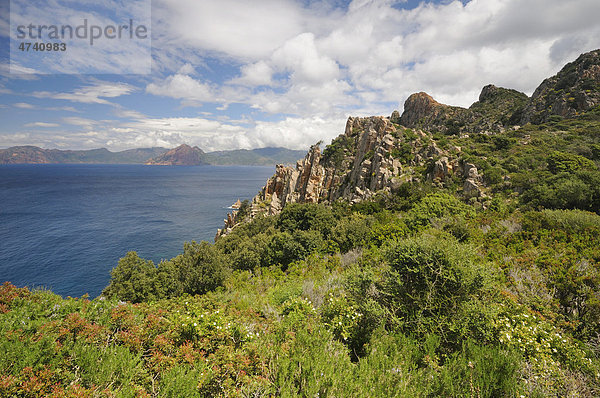 Capu Rosso  Halbinsel an der Westküste von Korsika  Frankreich  Europa