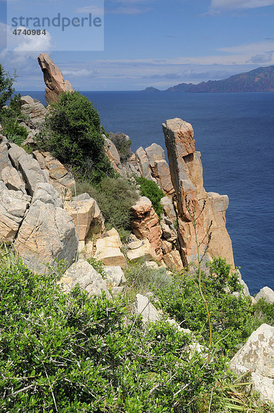 Felsformationen auf Capu Rosso  Halbinsel an der Westküste von Korsika  Frankreich  Europa