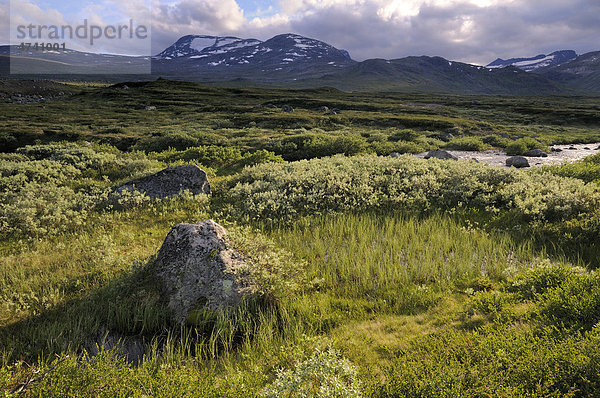 Leirungsdalen  Gebirgslandschaft im Jotunheimen Nationalpark  Norwegen  Skandinavien  Europa