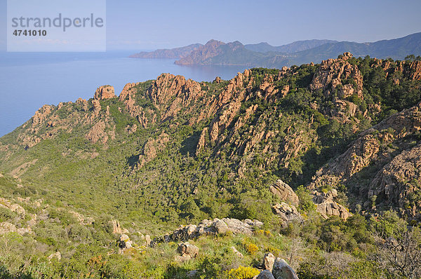 Calanche  Felsenlandschaft an der Westküste von Korsika  Frankreich  Europa