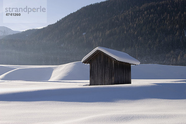 Holzhütte  Winterlandschaft  Südtirol  Italien  Europa
