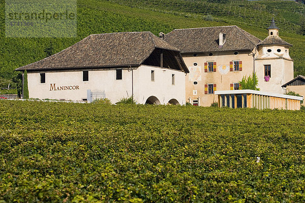 Weingut in Südtirol  Italien  Europa