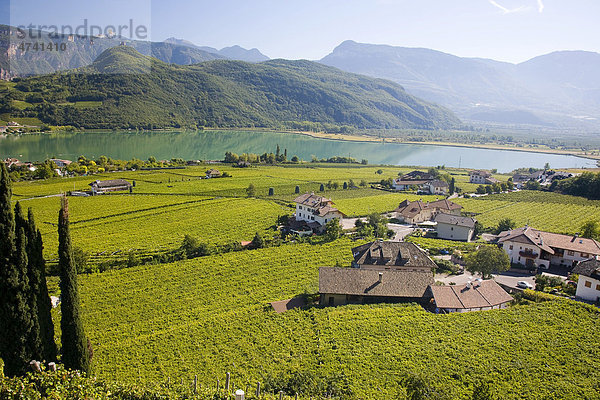 Weinlandschaft um den Kalterer See  Südtirol  Italien  Europa