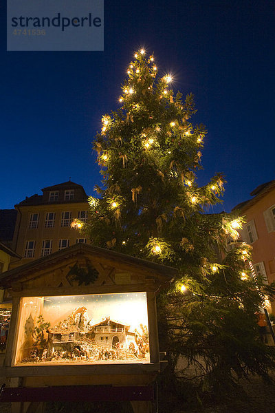Christbaum  Weihnachtsbaum  Weihnachtsmarkt in Kaltern  Südtirol  Italien  Europa
