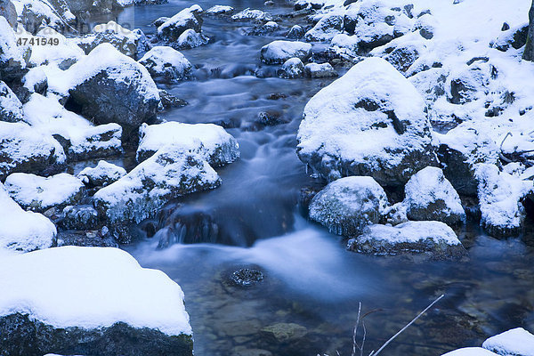 Bergbach im Winter