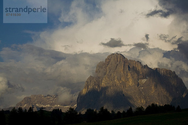 Langkofel in Südtirol  Italien  Europa