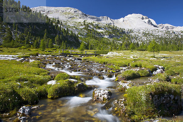 Fließender Bach auf der Alm  Fanesalm  Südtirol  Italien  Europa