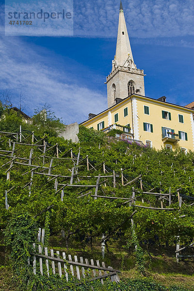 Weinlandschaft mit Kirchturm in Kaltern an der Weinstraße  Südtirol  Italien  Europa