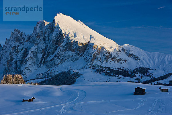 Winterlandschaft auf Seiser Alm  Südtirol  Italien  Europa