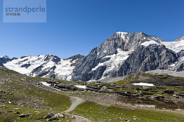 Bergmassiv Ortlergruppe  Trafoier Eiswand  Südtirol  Italien  Europa