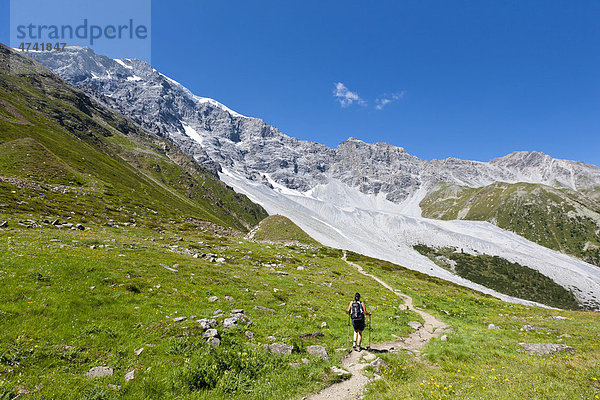 Wanderer im Ortlergebiet  Südtirol  Italien  Europa