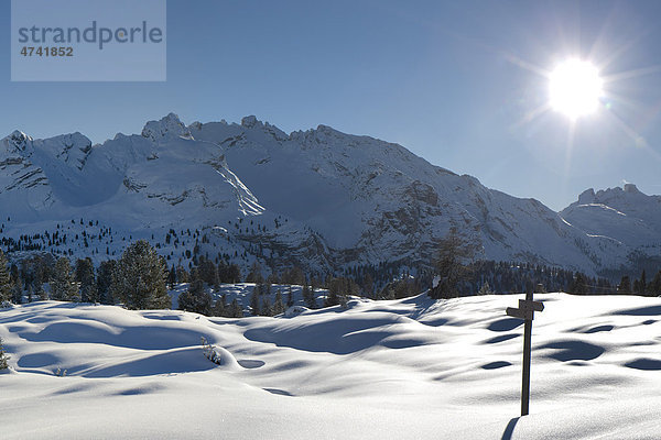 Winterlandschaft  Naturpark Fanes-Senes-Prags  Dolomiten  Südtirol  Italien  Europa
