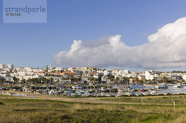 Yachthafen mit Fischerbooten  Lagos  Faron  Algarve  Portugal  Europa