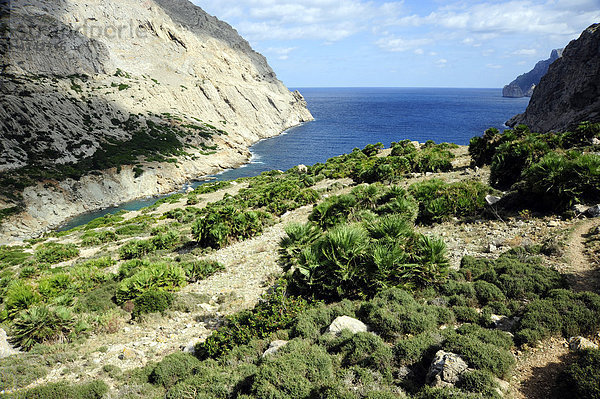 Bucht Cala Boquer  Landschaft an der Cap de Formentor Halbinsel  Mallorca  Majorca  Balearen  Balearische Inseln  Mittelmeer  Spanien  Europa