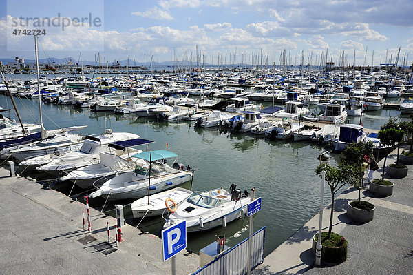 Boote im Jachthafen  Badeort Puerto de Alcudia  Port d' Alcudia  Mallorca  Majorca  Balearen  Balearische Inseln  Mittelmeer  Spanien  Europa