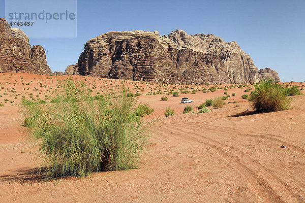 Berg  weite Ebene  Wüste  Büsche  Geländewagen  Wadi Rum  Haschemitisches Königreich Jordanien  Vorderasien