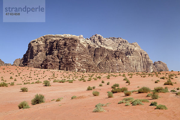 Berg  weite Ebene  Wüste  Büsche  Wadi Rum  Haschemitisches Königreich Jordanien  Vorderasien