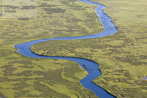 Luftaufnahme  mäanderner Fluss in Nordisland  Island  Europa