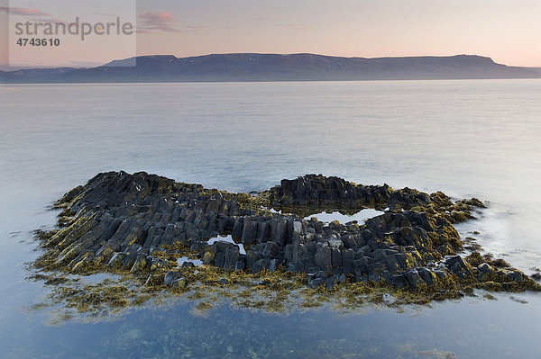 Basaltformationen an der Küste bei Hofsos  Nordisland  Island  Europa