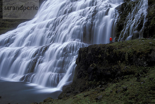 Dynjandi  der größte Wasserfall der Fjallfossar  Arnarfjör_ur  Westfjorde  Island  Europa
