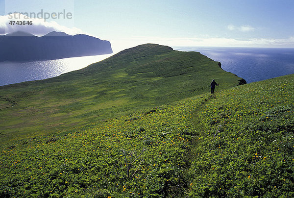 HornvÌk  Wanderparadies Hornstrandir  Westfjorde  Island  Europa