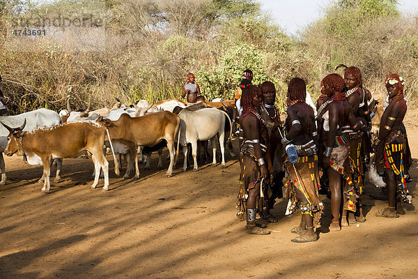 Bullensprung-Zeremonie der Hamer-Volksgruppe in der Nähe von Turmi  Unteres Omo-Tal  Süd-Äthiopien  Afrika
