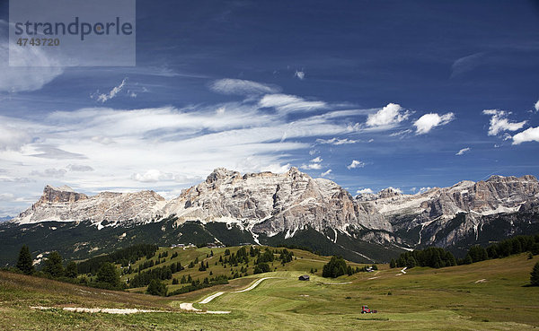 Wanderweg auf dem Piz la Villa  Dolomiten  Südtirol  Italien  Europa