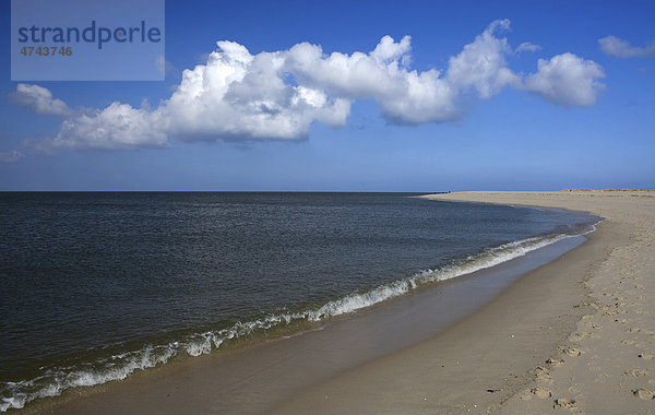 Strand bei Kampen auf Sylt  Nordsee  Nordfriesland  Schleswig-Holstein  Deutschland  Europa