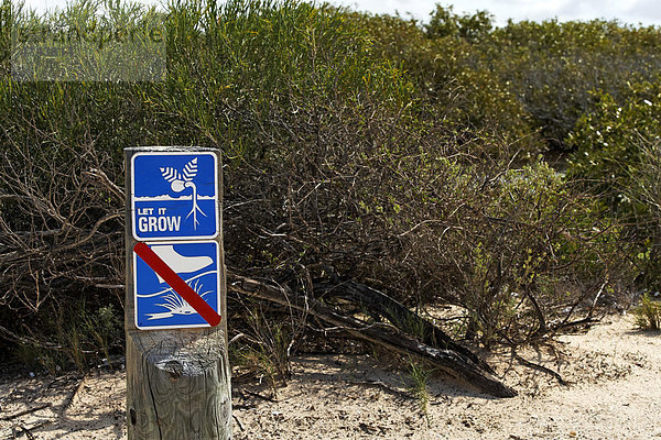 Let it grow  englisch für lass es wachsen  Planzenschild  Shark Bay  Western Australia  Australien