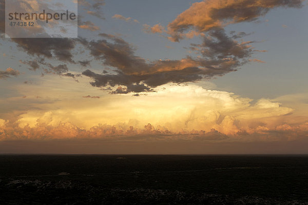 Gewitterwolken im Abendlicht  Nord-West-Australien  Australien