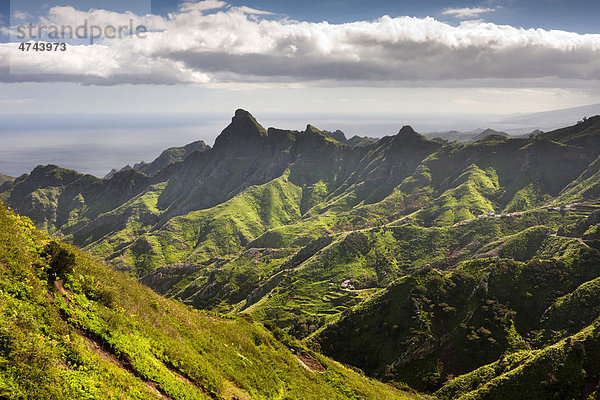 In den Las Montanas de Anaga  Anaga Gebirge  Teneriffa  Spanien  Europa