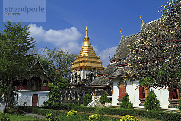 Buddhistische Tempelanlage Wat Chiang Man  Chiang Mai  Nordthailand  Thailand  Asien