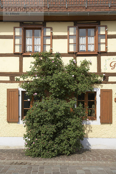 Fachwerkhaus  historisches Gästehaus gegenüber dem Kloster Buch  in Klosterbuch  Sachsen  Deutschland  Europa