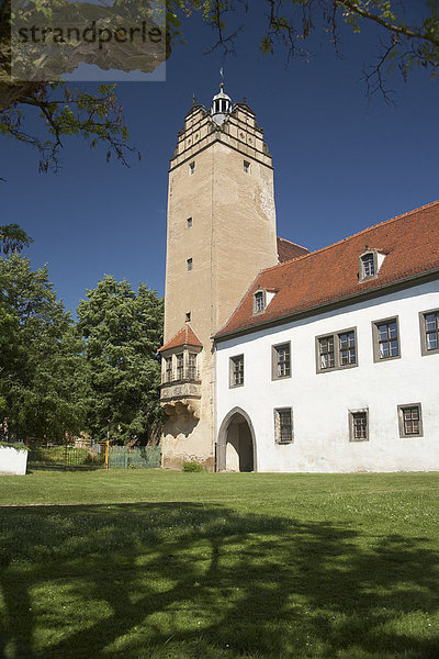 Schloss Strehla  Südwestturm  Sachsen  Deutschland  Europa