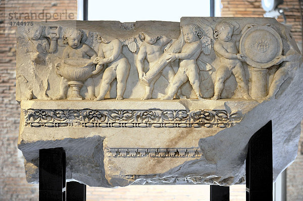 Relief-Fries mit Amoretten am Architrav des Tempel der Venus Genetrix  Museum der Kaiserforen  Museo dei Fori Imperiali  Trajansmärkte  Rom  Latium  Italien  Europa