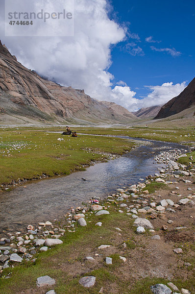 Kailash Kora  West-Tibet  Asien