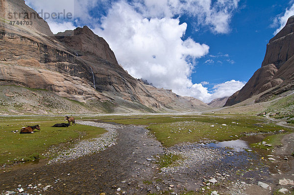 Kailash Kora  West-Tibet  Asien