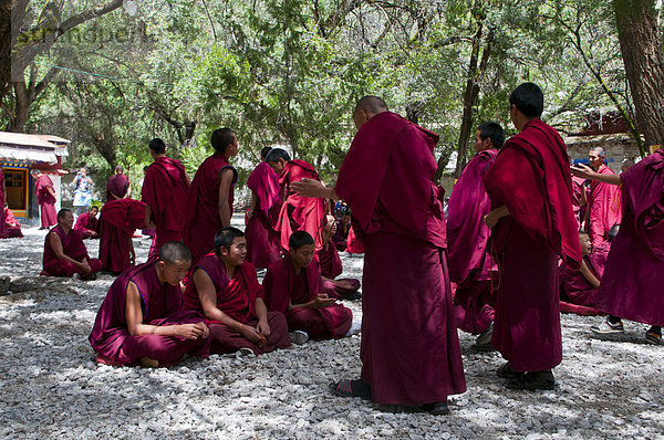 Junge Mönche bei der täglichen Diskussionsstunde im Sagatempel  Lhasa  Tibet  Asien