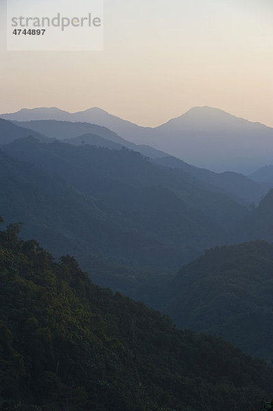 Der unberührte Dschungel von Arunachal Pradesh im Licht der untergehenden Sonne  Nordostindien  Indien  Asien