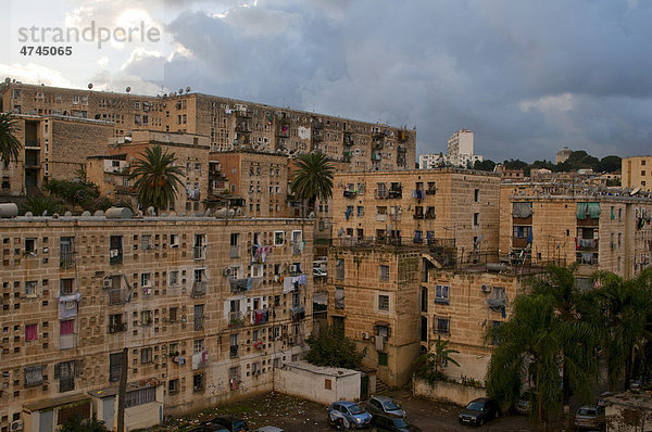 Bardo Häuser in Algier  Algerien  Afrika