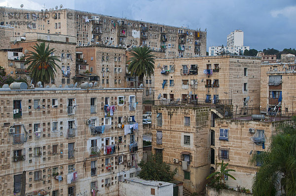 Bardo Häuser in Algier  Algerien  Afrika
