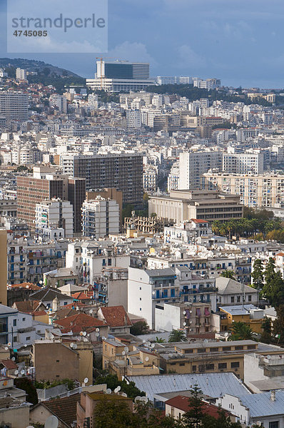 Überblick über Algier  Algerien  Afrika