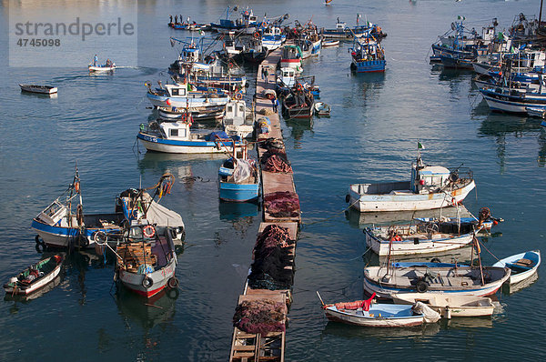 Hafen von Algier  Algerien  Afrika