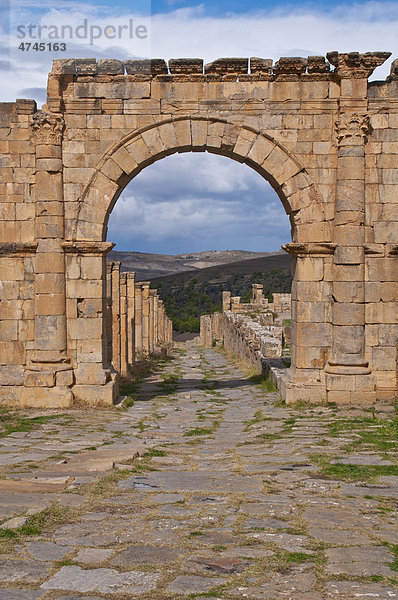 Die römischen Ruinen von DjÈmila  Unesco Weltkulturerbe  Kabylei  Algerien  Afrika